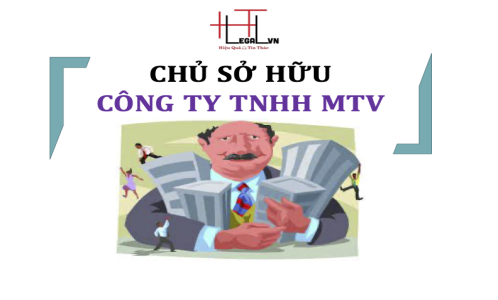 Quy định pháp luật về Chủ sở hữu công ty TNHH MTV ? (Công ty Luật tại quận Tân Bình)